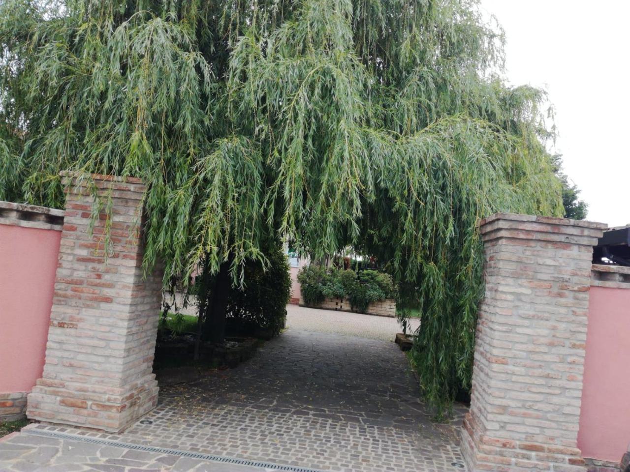Agriturismo Ferretti Massa Lombarda Exterior photo
